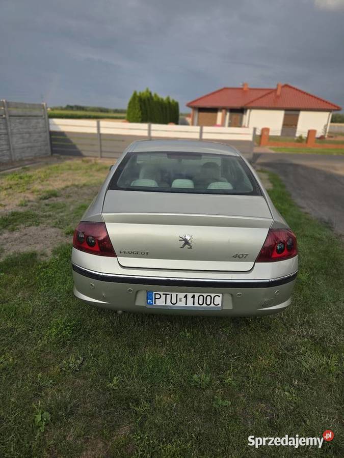 Peugeot 407 automat Turek