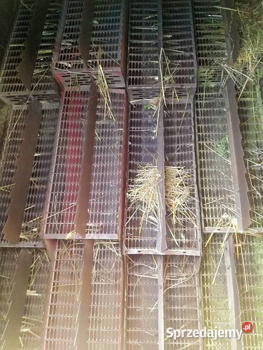 Fortschritt E514 E512 Kombajn Zbożowy dolnośląskie sprzedam