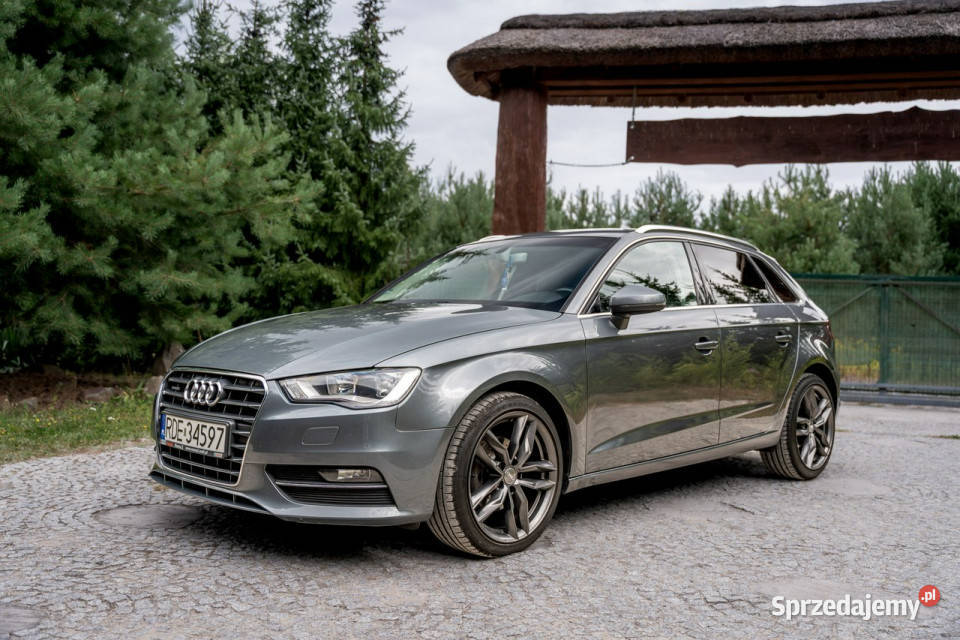 Audi A3 8V 20 TDI 150 Hatchback Quattro Hatchback podkarpackie Ropczyce