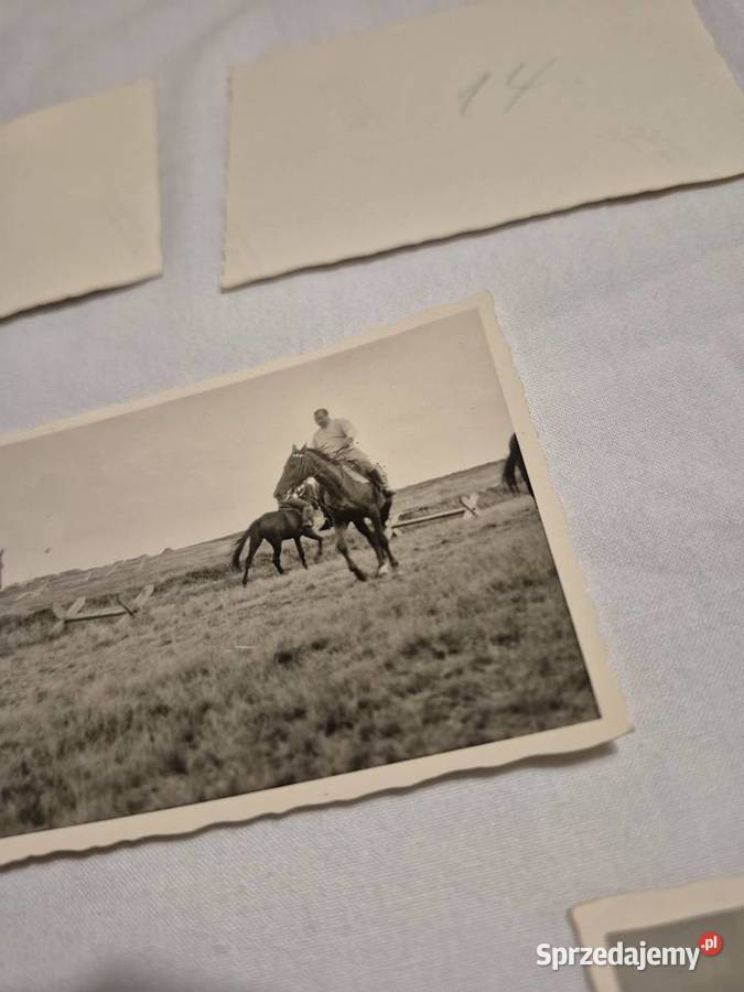 Fotografie Hermann Gring Reichsmarschall Brzesko sprzedam