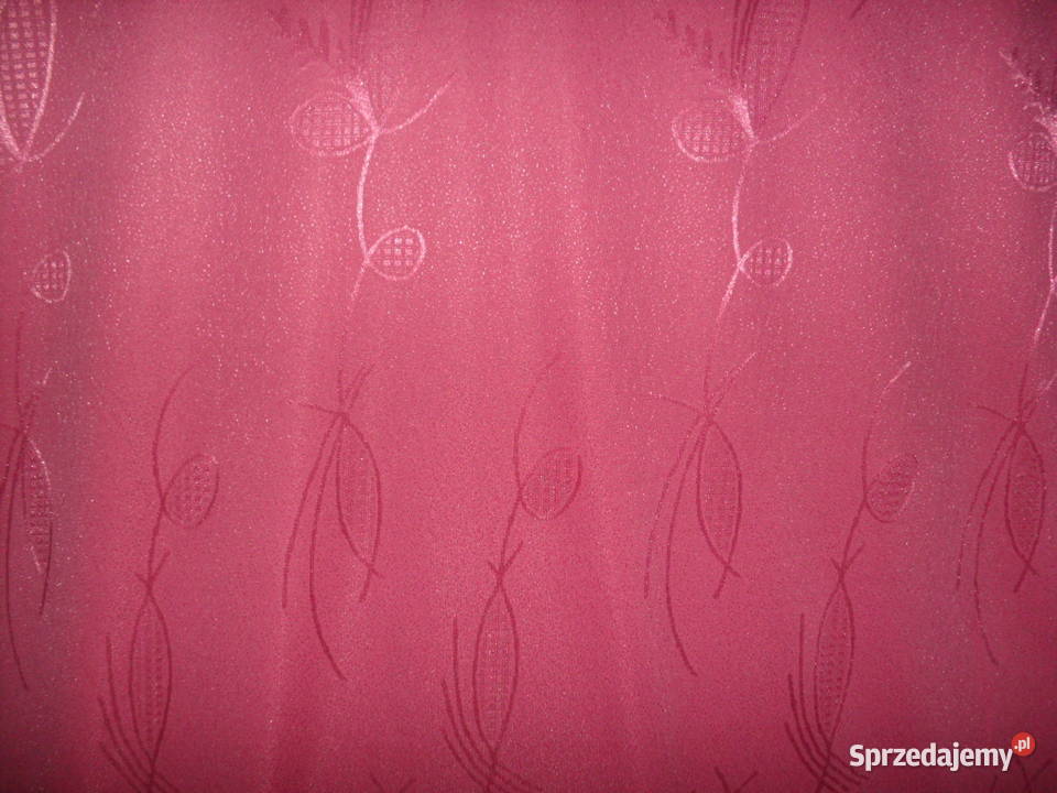 dziania zasłonowa 170 sprzedam