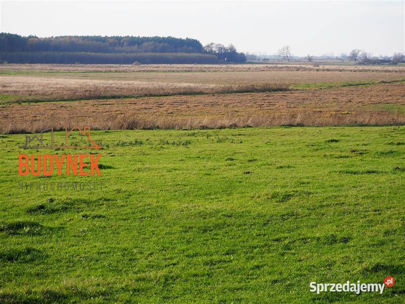Działka rolna Krupy