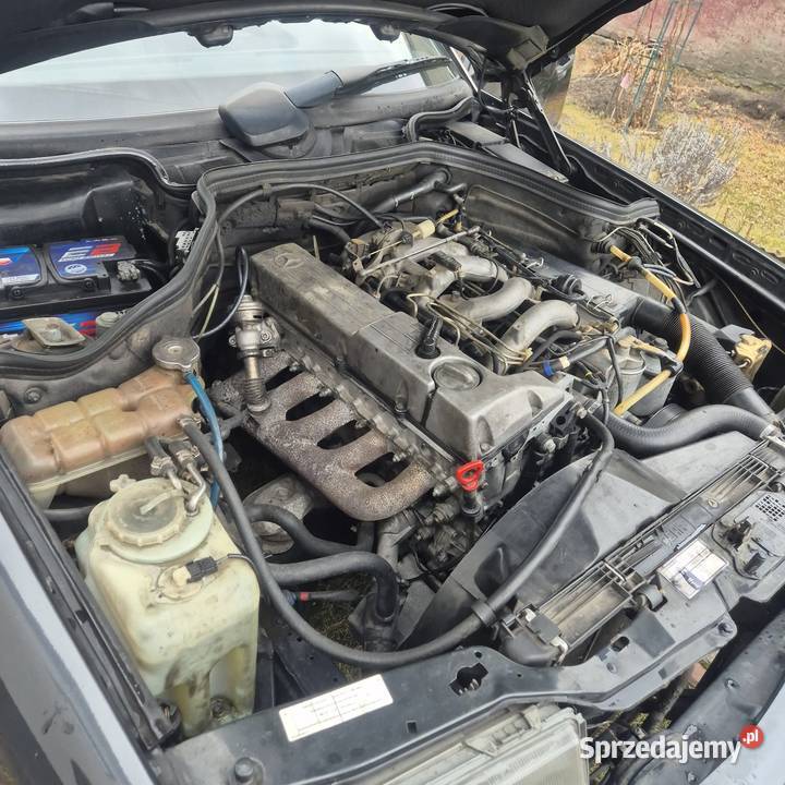 MERCEDES W124 1992 25D Lgota Mała
