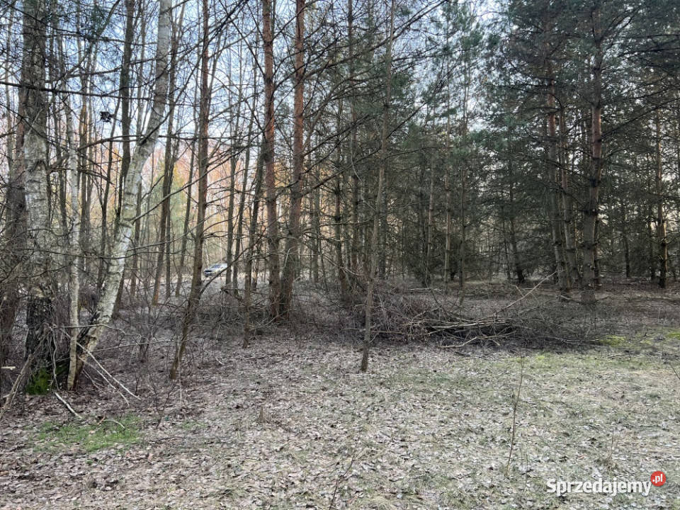 Działka budowlana w miejscowości Wola Pieczyska sprzedam