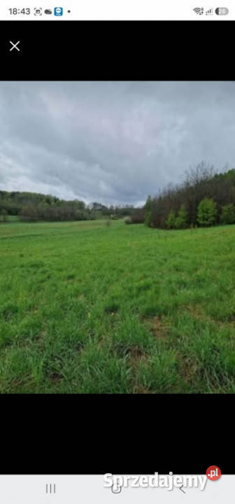 Działki budowlane Kołczygłowy 69 m Spokojna