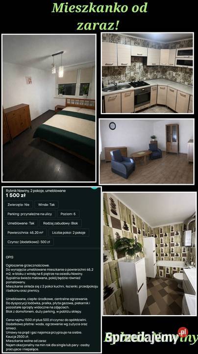 Mieszkanie do wynajęcia RybnikNowiny śląskie Rybnik