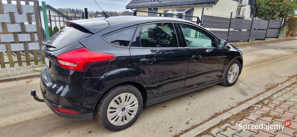 Ford focus uszanowsny serwisowany 115 przebieg