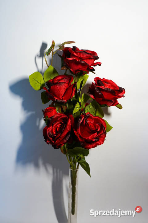 Bukiet róż w kolorze czerwonym Wszystkich Świętych Częstochowa sprzedam