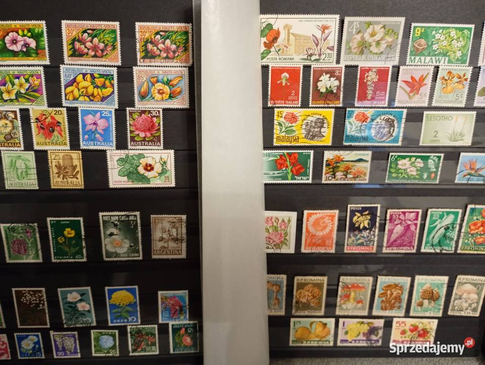 Duży album klaser ze starymi znaczkami Łowicz