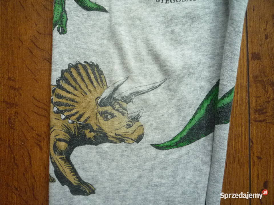 HM 134140 Szare Spodnie Dresowe Dinozaury Szczecin sprzedam