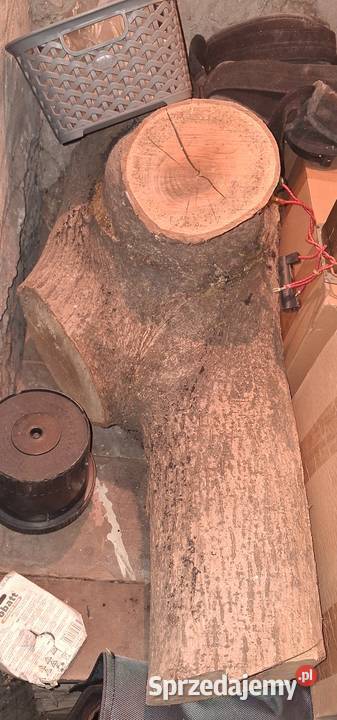 Oddam drewno orzech klocki i struganka dolnośląskie Wrocław sprzedam