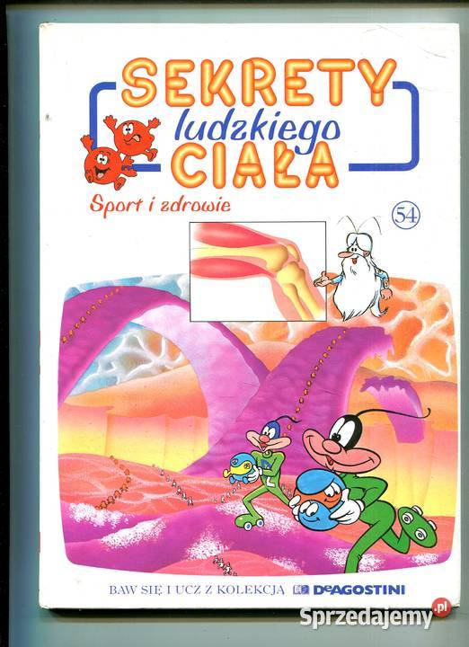 Sekrety ludzkiego ciała t49 52 54 55 60 Szczecin