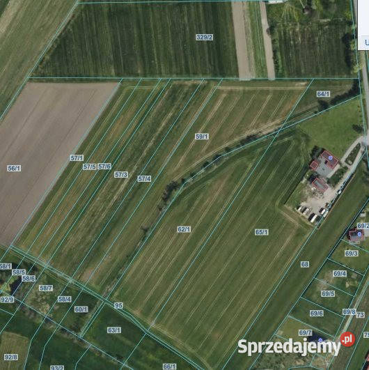 sprzedaży gruntu Wygiełzów 8400m2 sprzedam