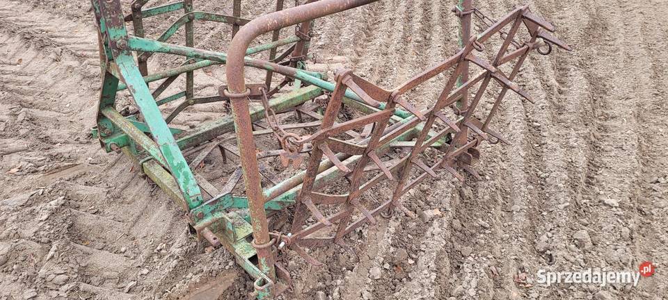 Brony 3 polowe Brony Słupca