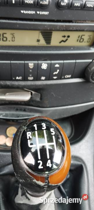 Lagunka w stanie nieuszkodzony