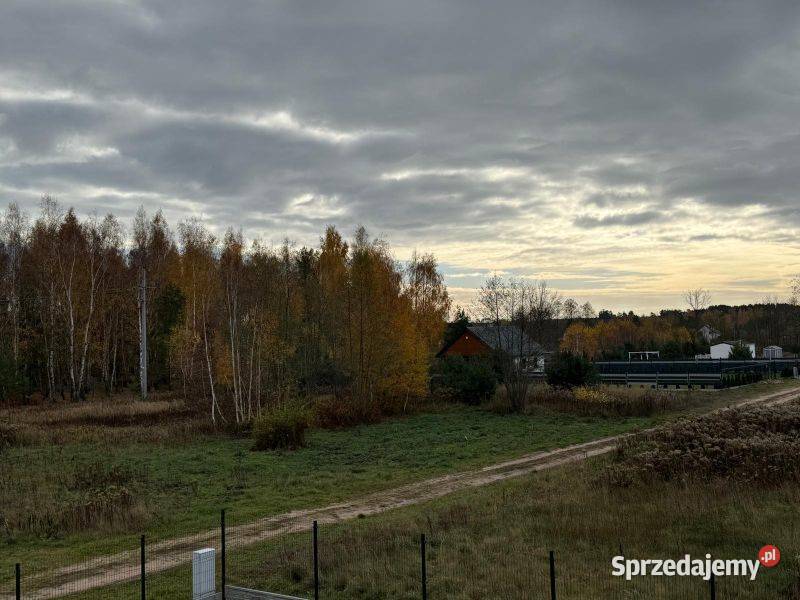 Dom lesie jeziora Koszelówka parterowy Sprzedaż