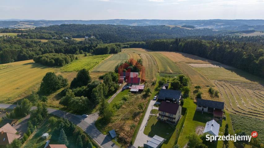 Działka Gnojnica 13000m2