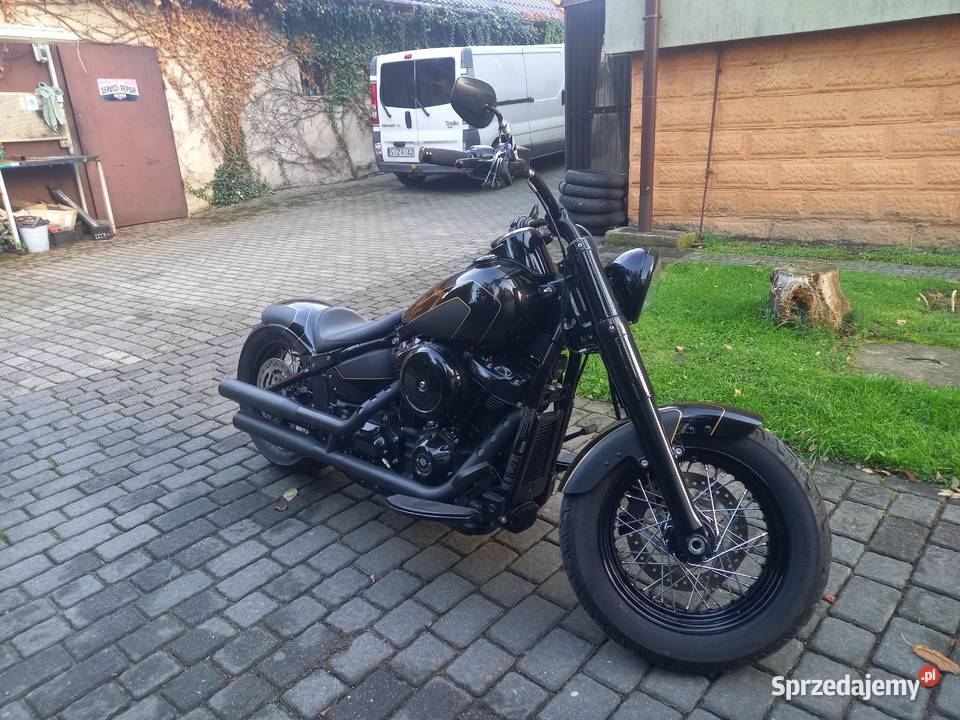 Harleydavidson Softail Slim Flsl Custom M8 Bielsko-Biała