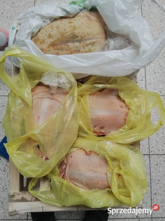 Tuszka kur kaczek Mięso surowe lubelskie Puławy
