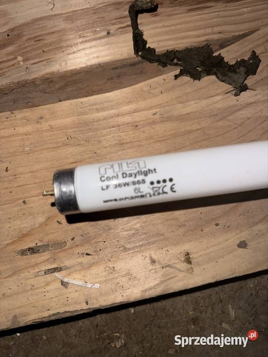 Wkłady do lamp Zalasowa