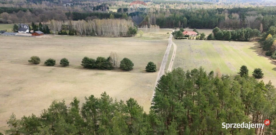 Działki budowlane zbuduj dom w lesie Powązki