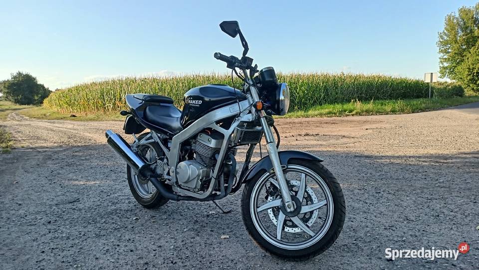 Hyosung GT 125250 Wróblina