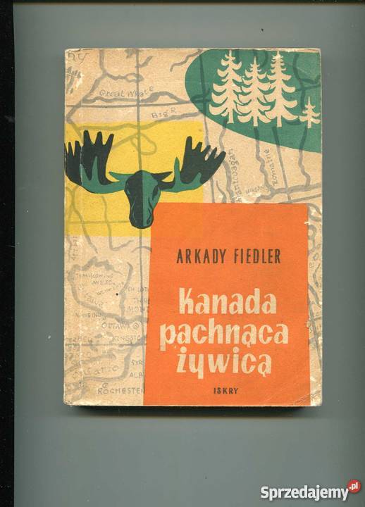 Kanada pachnaca żywicą sprzedam