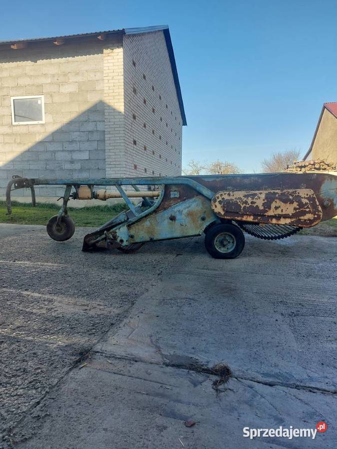Kopaczka elewatorowa do ziemniaków Łosice sprzedam