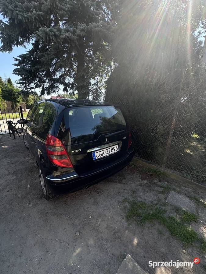 Mercedes Benz Łasin