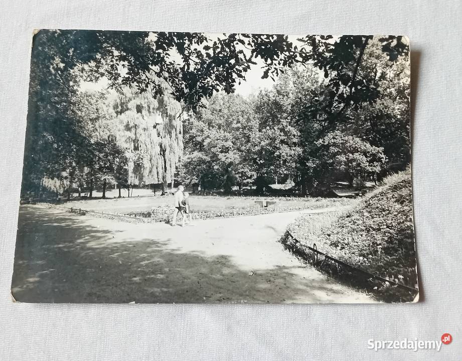 Pocztówka Kluczbork fragment parku miejskiego Koźminek sprzedam