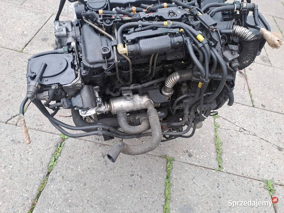 Peugeot 308 16 HDi silnik kompletny kod 9HZ 9H01 Jastrzębie-Zdrój