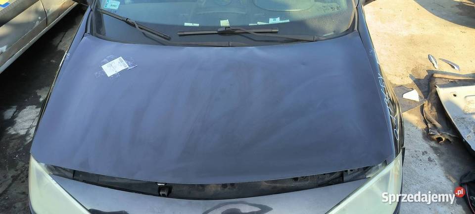 MASKA RENAULT MEGANE II NV676 kujawsko-pomorskie Lipno