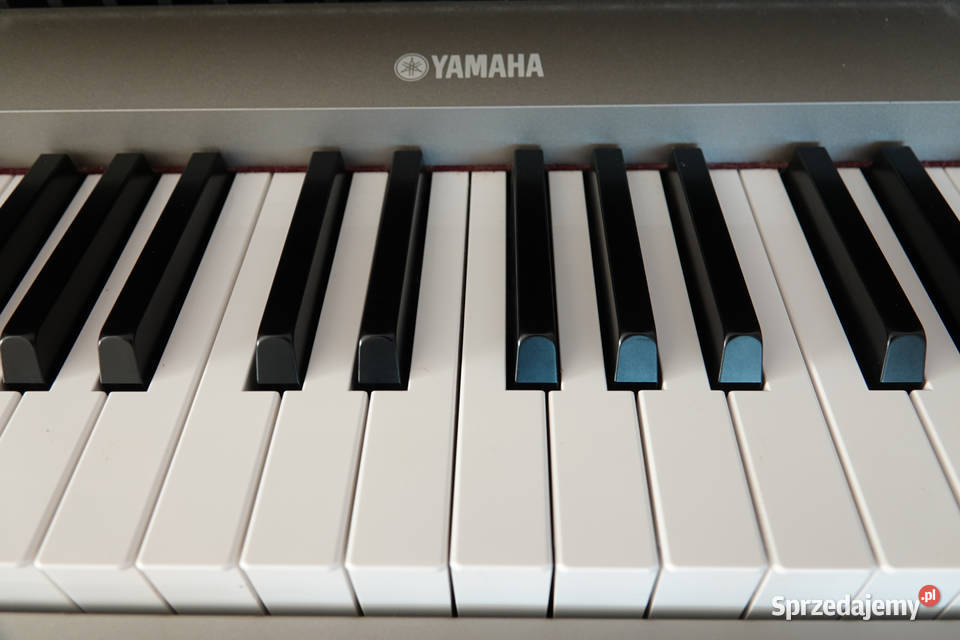 Pianino cyfrowe Yamaha YDPS31 Arius kompaktowe i Gdynia