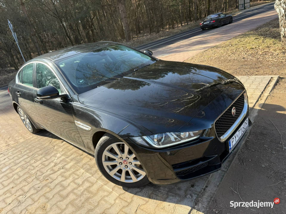 Jaguar XE 20 180 Navi Led Zarejestrowany w Przeźmierowo