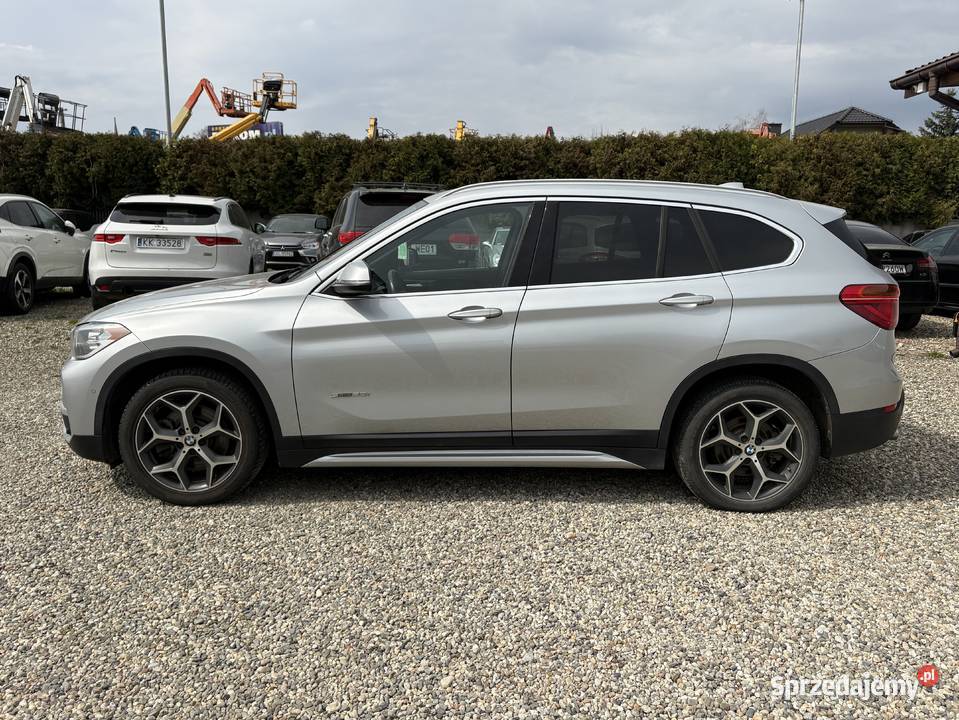 BMW X1 GWARANCJA Zarejestrowany w Polsce X1 Paniówki