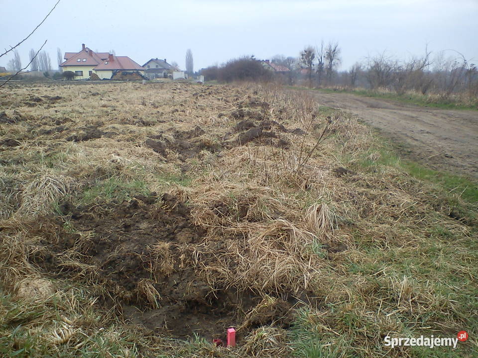 Pisarzowice działka budowlana o pow 1274 m2 sprzedam