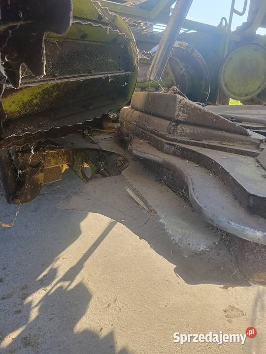 Claas ru 450 przystawka do kukurydzy Łobżenica