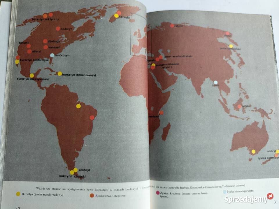 Złoto Północy Opowieści o bursztynie Anna Rok wydania 1981 Gdynia
