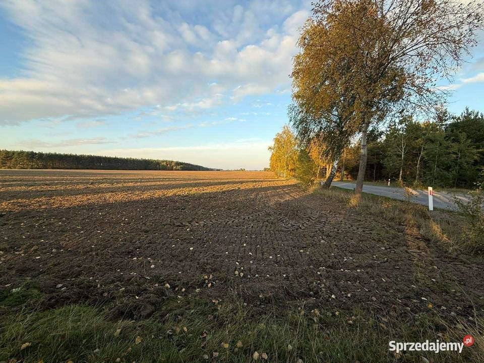 SPRZEDAŻY DŁUGOTERMINOWEJ DZIERŻAWY ŻWIROWNI Kochowo