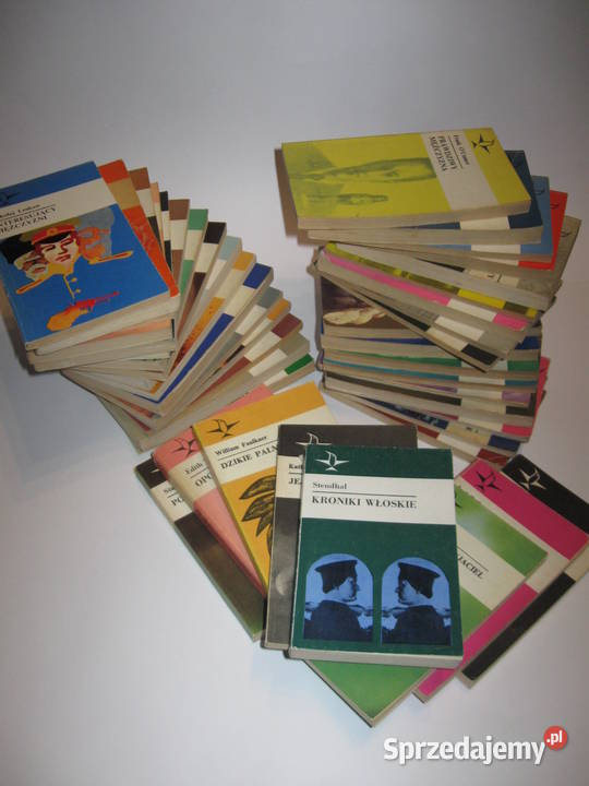 Książka z serii Koliber Bardziej przyjaciel niż Pozostałe Białystok