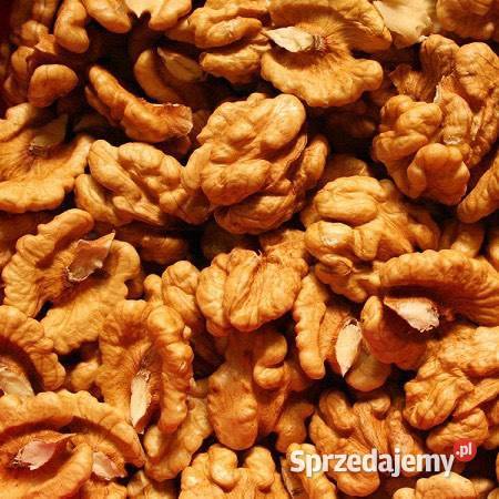 Orzechy włoskie łuskane piękne Orzechy Bakalie, orzechy Uchanie