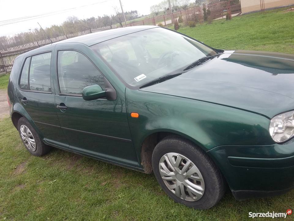 VW GOLF IV 16BenzynaZielony Metalik z Rok produkcji 1998 Wacławów