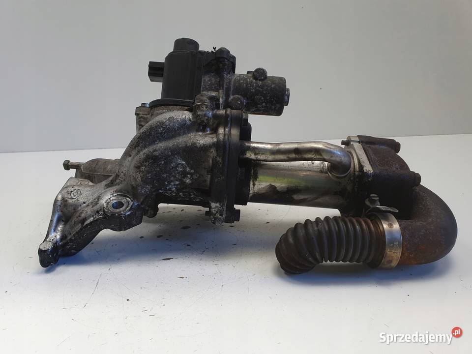 Renault Megane III 15 DCI ZAWÓR EGR Chłodniczka Rudka