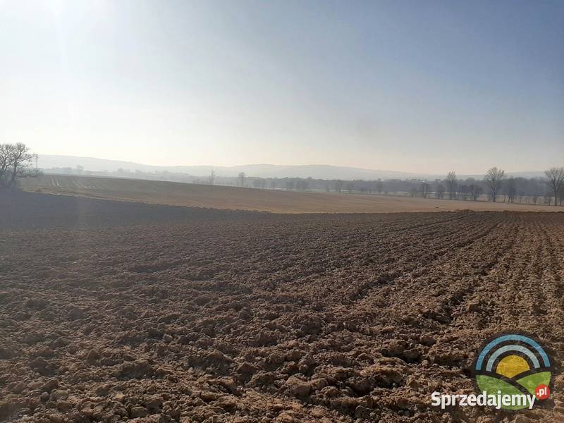 Radwanowice gm Zabierzów działka rolna 63arowa sprzedam
