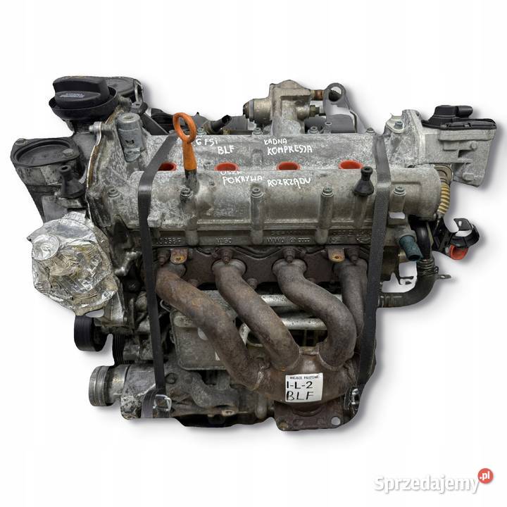 SILNIK BLF Audi A3 II 8P Skoda Octavia II 16 FSI Chełm