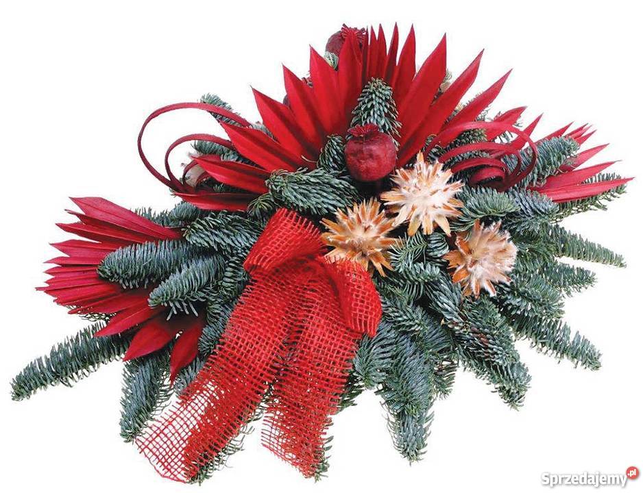 Choinki Świerk JodłaOzdobychoinki ręcznie Siedlce