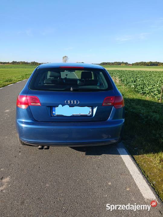 audi a3 8p sportdack Środa Śląska