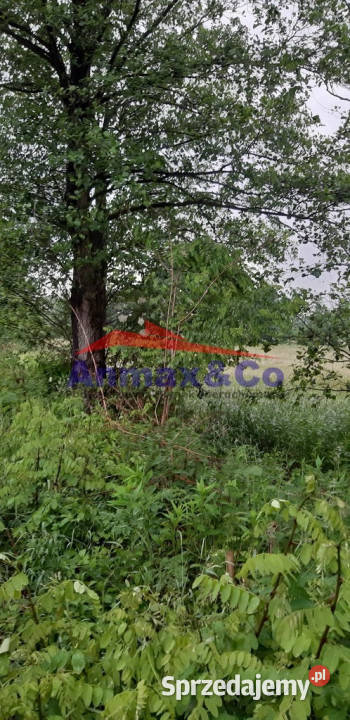 Idealna na inwestycję dobra Ostrowiec