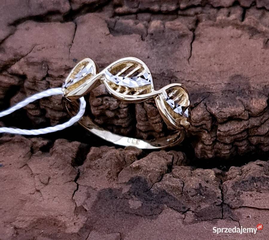 Pierścionek r12 Złoty pr333 bezkamieniowy Z484 Poznań