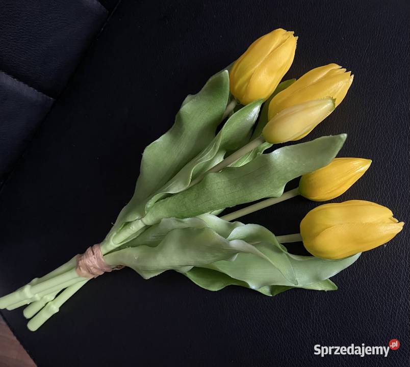 Tulipany silikonowe lubuskie Słubice